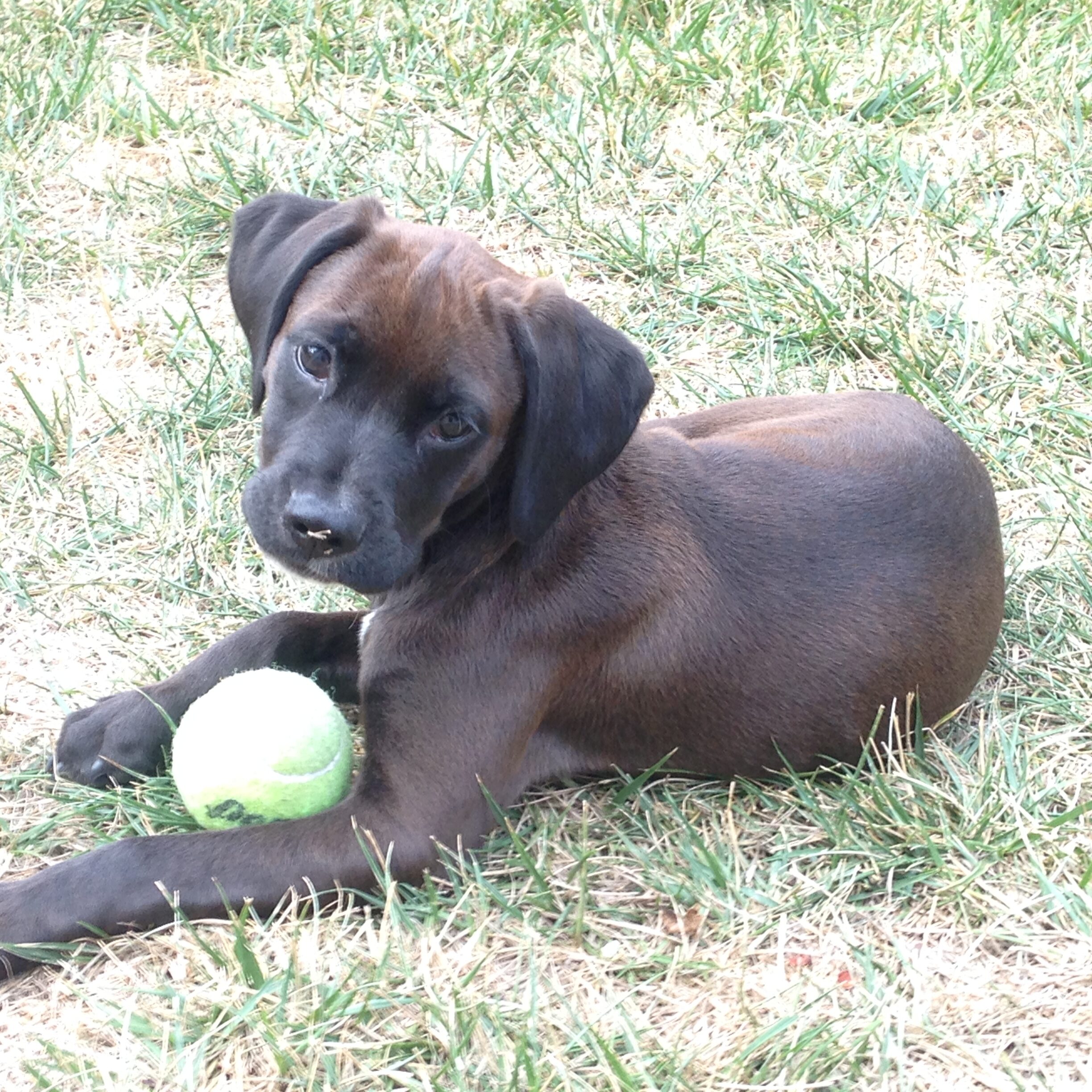 Charlie Charlie