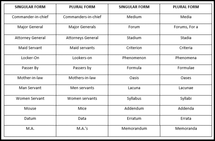 Plural forms of certain nouns