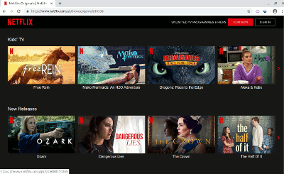 Screenshot of Netflix